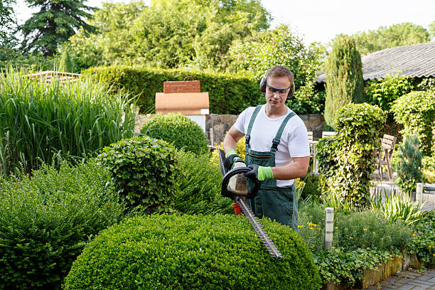 How Our Tree Care Process Works  in  Roseland, FL